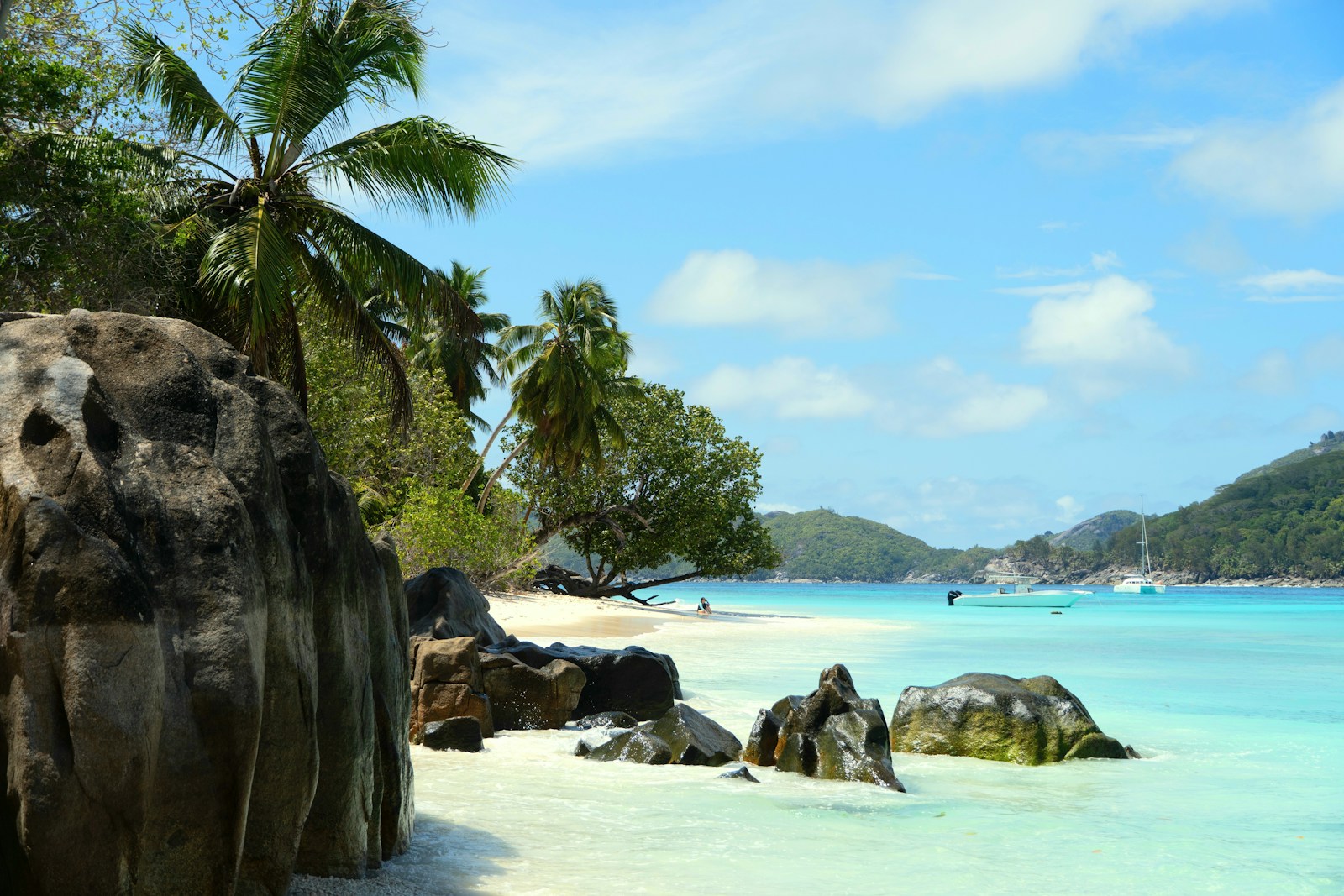 Palm trees and sculpted granite boulders beside a white sand beach and bright turquoise water in the Seychelles